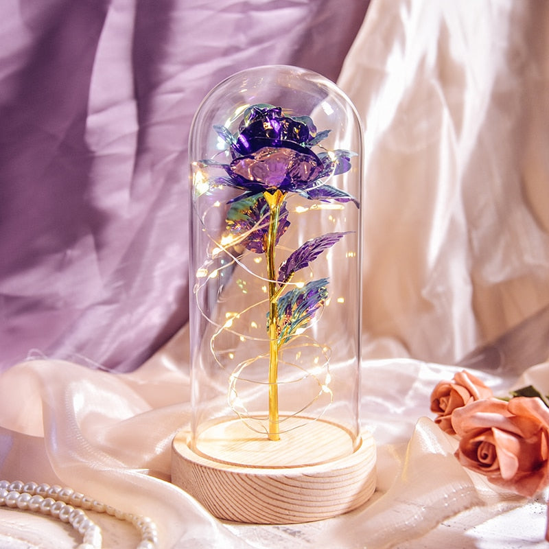 Mothers Day Gifts Beauty and The Beast Preserved Roses In Glass Galaxy Rose LED Light Artificial Flower Gift for Mom Women Girls