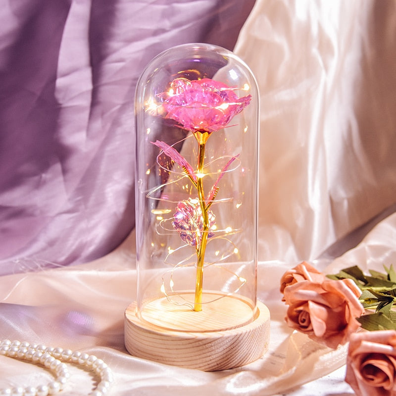 Mothers Day Gifts Beauty and The Beast Preserved Roses In Glass Galaxy Rose LED Light Artificial Flower Gift for Mom Women Girls