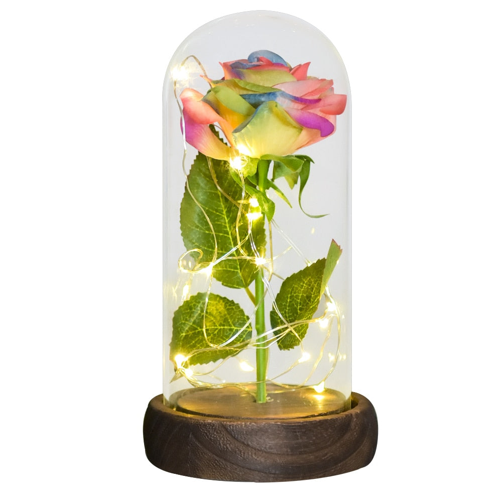 Mothers Day Gifts Beauty and The Beast Preserved Roses In Glass Galaxy Rose LED Light Artificial Flower Gift for Mom Women Girls