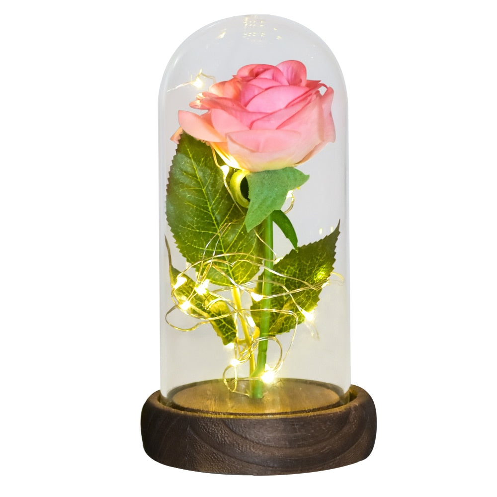 Mothers Day Gifts Beauty and The Beast Preserved Roses In Glass Galaxy Rose LED Light Artificial Flower Gift for Mom Women Girls