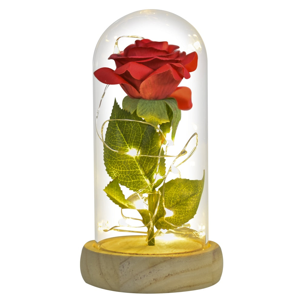 Mothers Day Gifts Beauty and The Beast Preserved Roses In Glass Galaxy Rose LED Light Artificial Flower Gift for Mom Women Girls