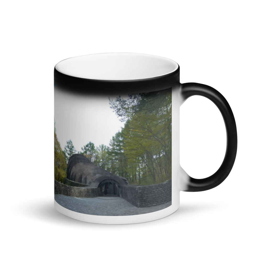 Matte Black Magic Mug